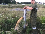 Überprüfung der Wasserentnahmestellen in Göpfritz August 2018