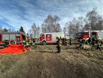 Waldbrandübung am TÜPL Allentsteig