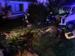 Fahrzeug durchbricht Gartenzaun im Ortsgebiet von Göpfritz/Wild