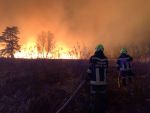 Waldbrand am TÜPL Allentsteig