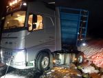 LKW Bergung in der Wild