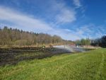 Vegetationsbrand in Göpfritz/Wild