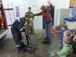 Kindergarten besucht Feuerwehr Göpfritz/Wild