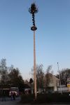 Maibaum 2017