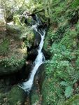 Feuerwehrausflug im Raum Ybbs