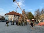 Maibaum 2022